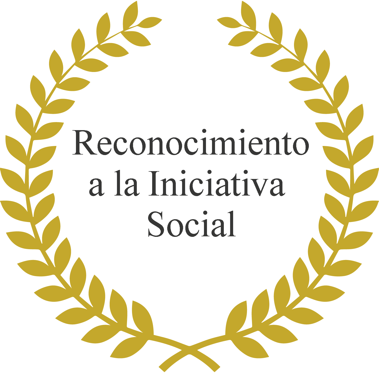 Reconocimiento a la Iniciativa Social