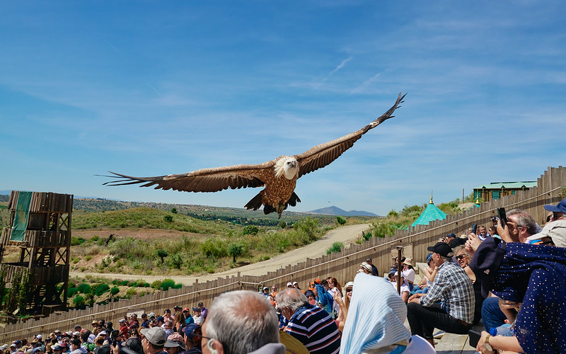 Puy du Fou España