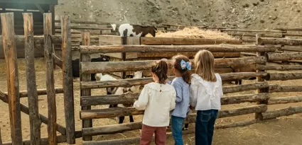 Niños viendo los animales de la Granja de Isidro