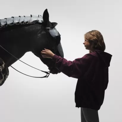 La Historia te llama