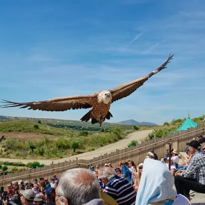 Puy du Fou España