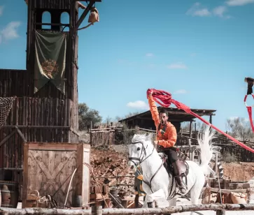 Tarifa Flexible - Puy du Fou España