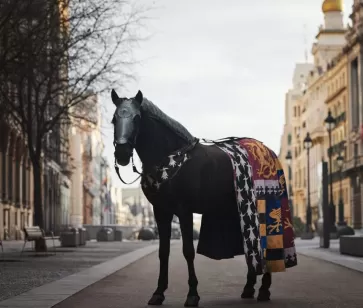 La Historia te llama