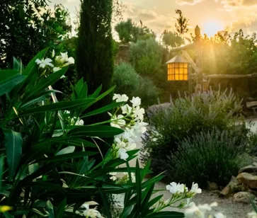Jardinero