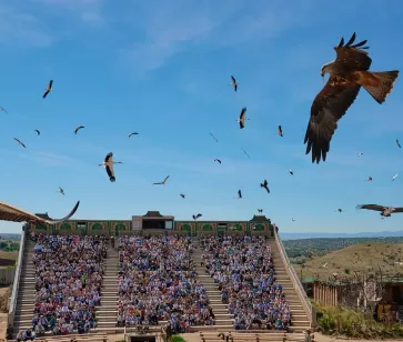 Contacto Puy du Fou España