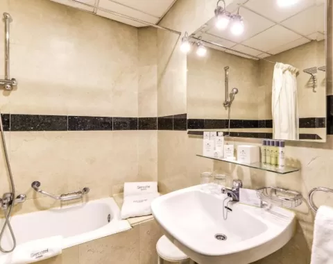 Hotel_Sercotel_Alfonso_VI_baño