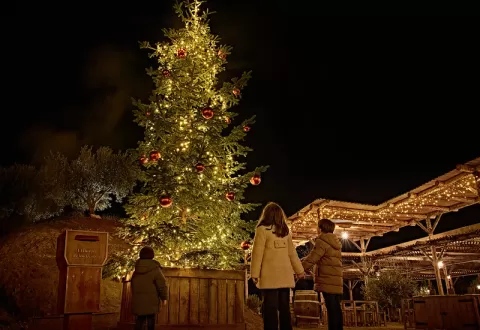 Navidad Puy du Fou España