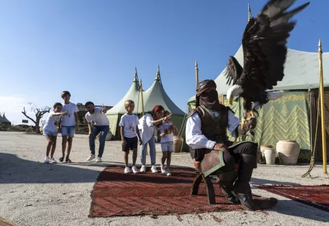 Parque temático del año en Europa Parque temático del año en Europa