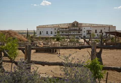 Parque temático del año 2021
