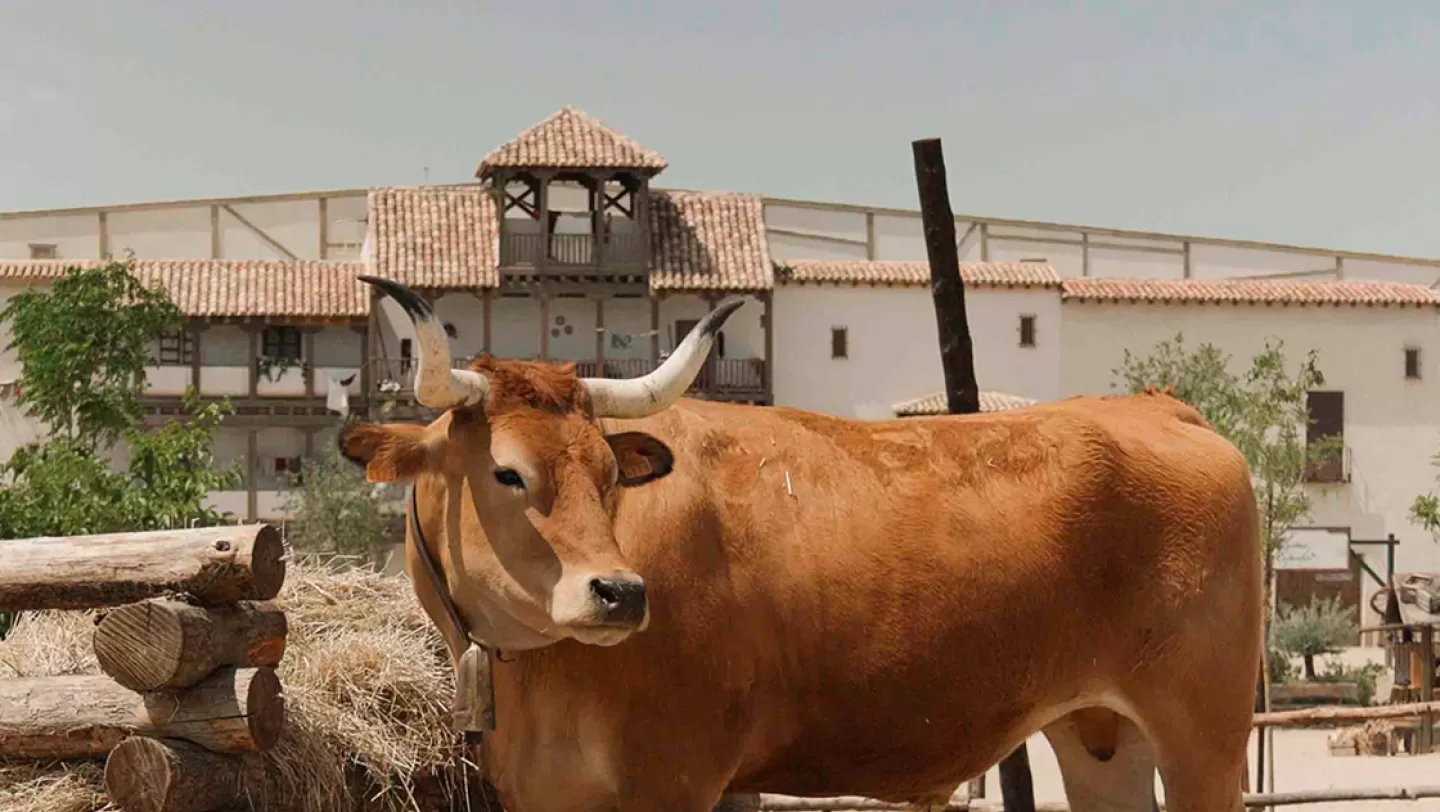 Día mundial de los animales