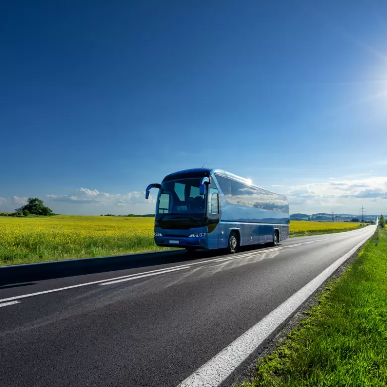 ¿Cómo llegar en bus?