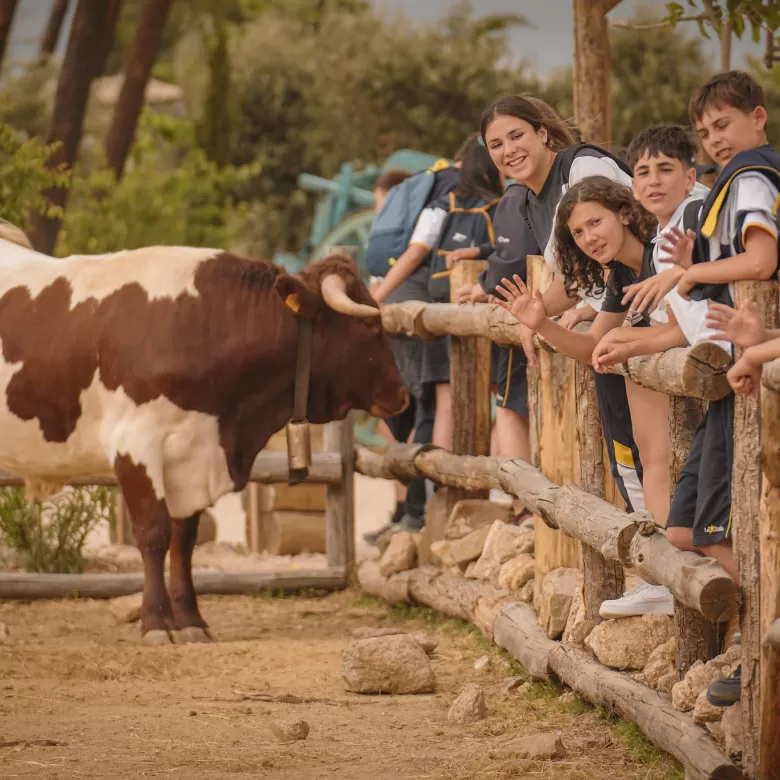 Visita escolar a Puy du Fou España: una aventura por la Historia