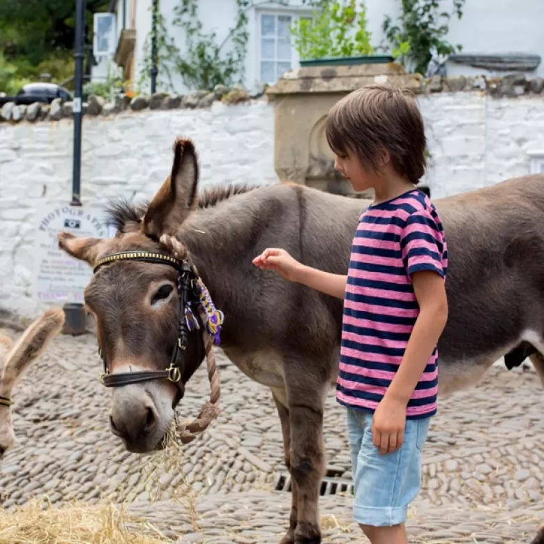 Niño con un burro en las granjas escuela