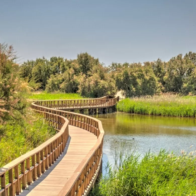 Parque de Daimiel