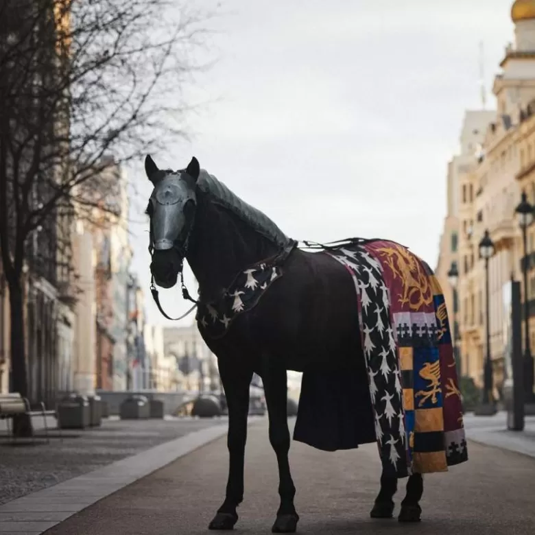 La Historia te llama