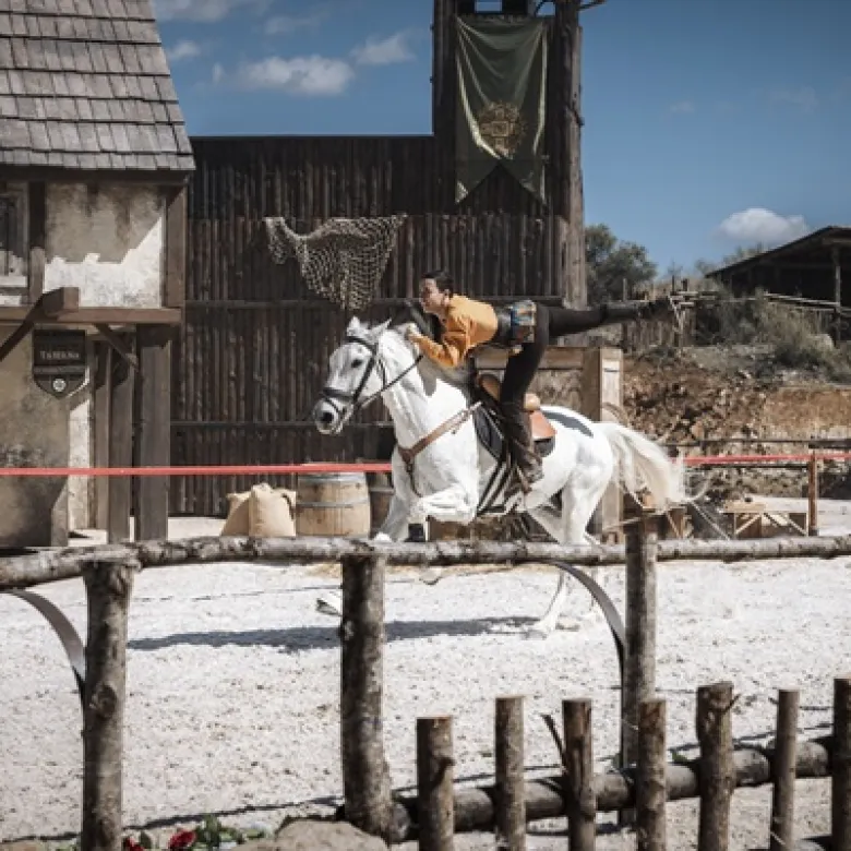 Cuidado de los animales