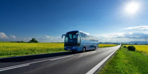 Autobús directo desde Madrid a Puy du Fou España