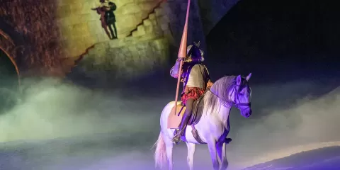 Don Quijote en El Sueño de Toledo