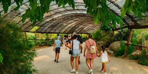 Visitantes en parque temático