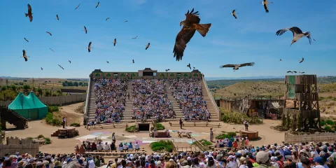 Conservación buitres Puy du Fou España