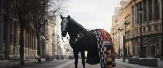 Anuncio spot televisivo La Llamada de Puy du Fou España