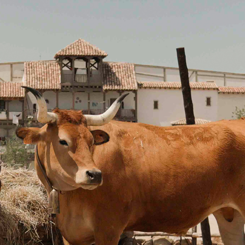 Los Alijares - Puy du Fou España Los Alijares - Puy du Fou España
