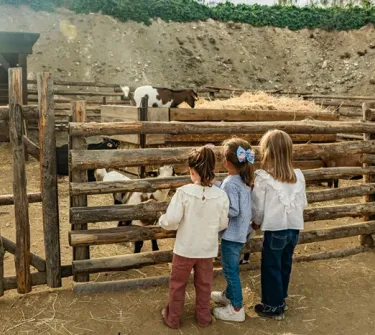 Niños viendo los animales de la Granja de Isidro