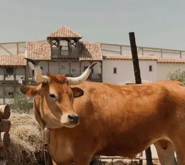 Los Alijares - Puy du Fou España