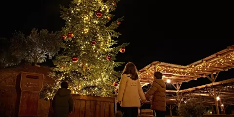 Niños viendo el árbol de Navidad de Puy du Fou España